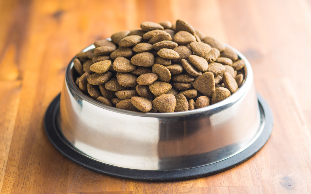 what dog foods cause heart disease