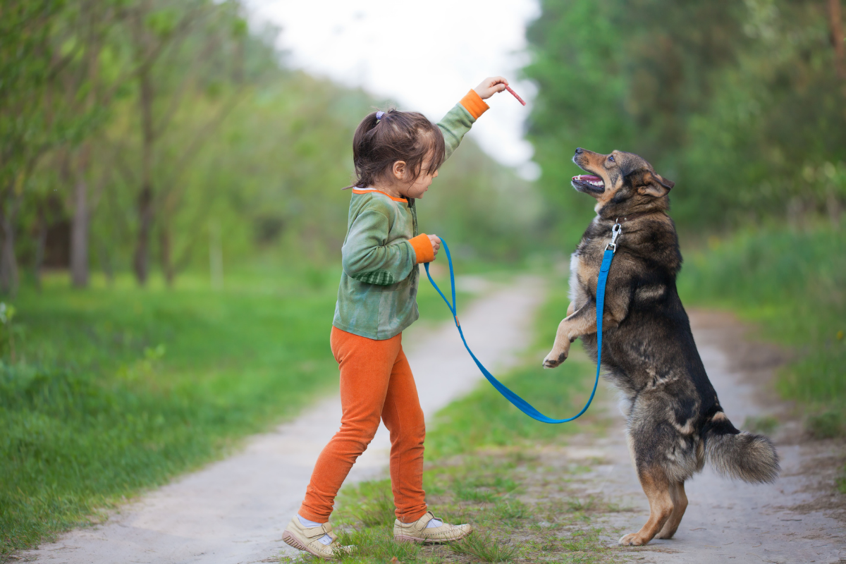 Girl playing with her dog