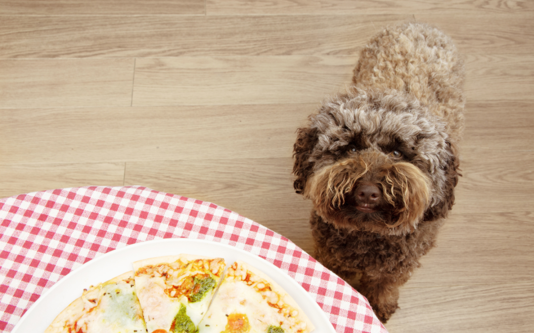 Unsafe Foods for Pets