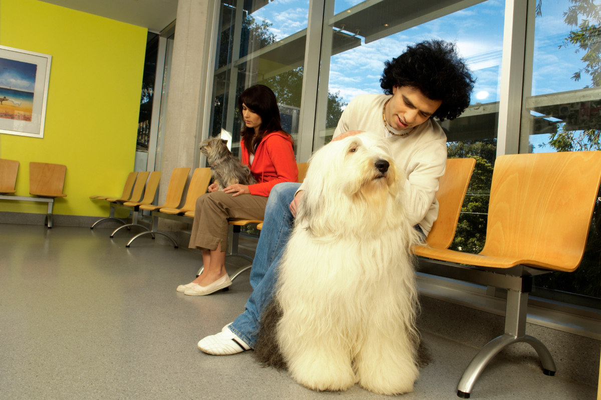 pet clinic waiting room