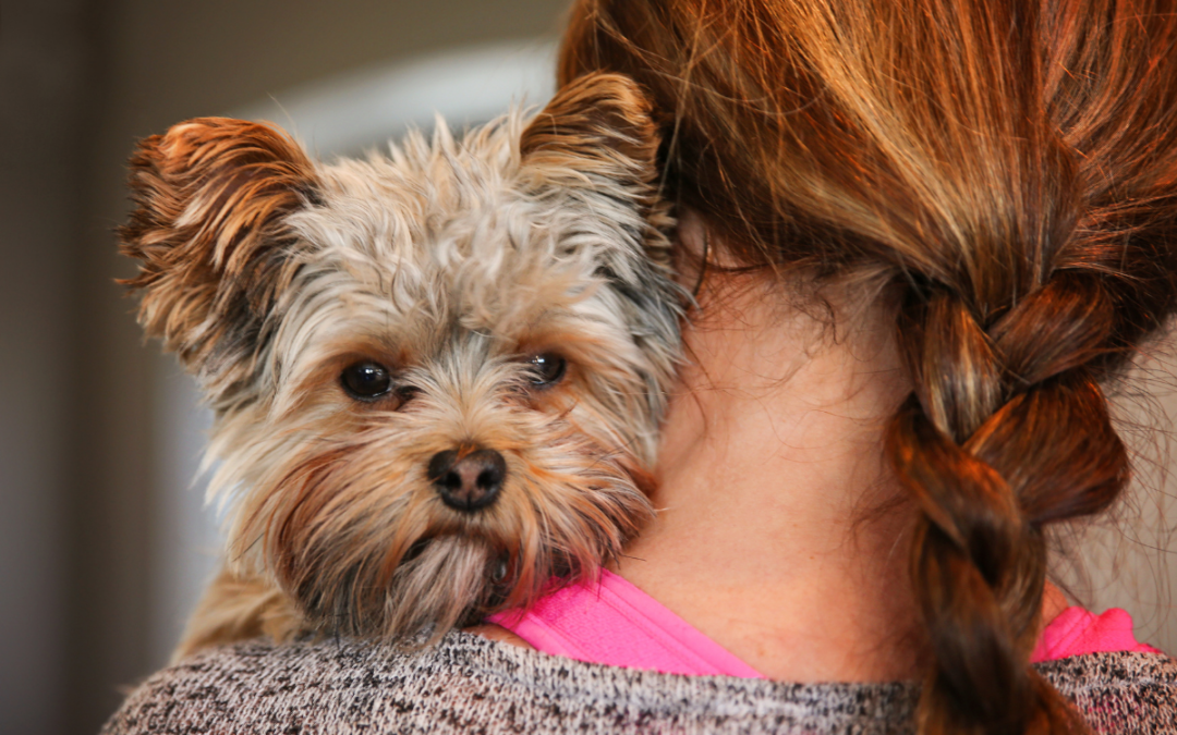What Illnesses Can Spread Between Animals and People? | Jacksonville  Community Pet Clinics