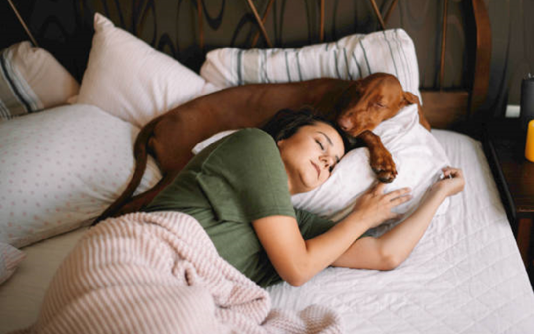 Should Your Pet Sleep in Your Bed with You